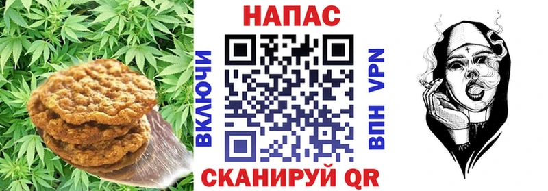 Купить где  Долинск  Canna-Cookies конопля 