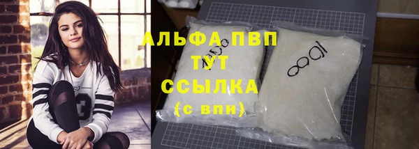 стафф Касимов