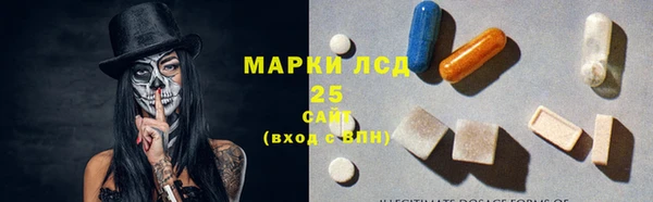 стафф Касимов