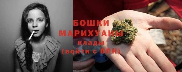 дмт Киреевск