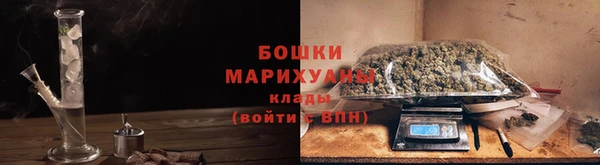 стафф Касимов