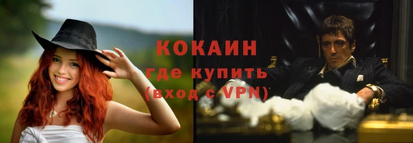 стафф Касимов