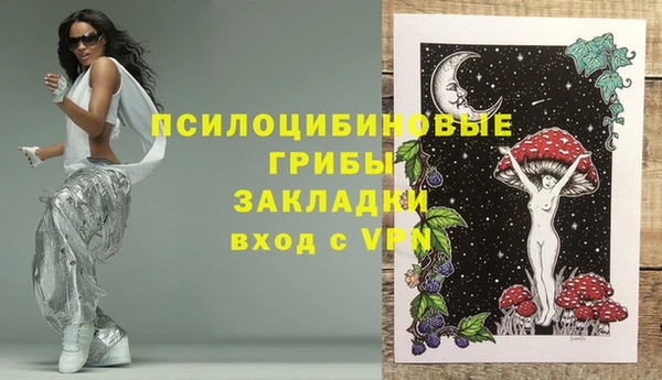 стафф Касимов