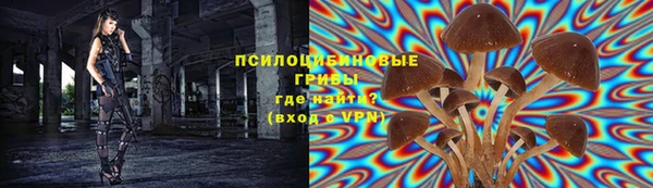 стафф Касимов